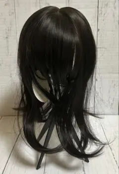 ⭐︎タイムセール⭐︎アクアドール　ウィッグ　ケア用品付　♯メルカリでハロウィン 2025年最新】アクアドールの人気アイテム - メルカリ