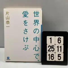 世界の中心で、愛をさけぶ 1-6*25.16*5