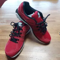 おいチャン様用　Nike Flywire シューズ レッド