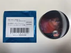 鬼滅の刃 水の呼吸ランダムアクションアニメーション缶バッジ G