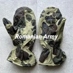 Item thumbnail for item 259524db-2be1-4de1-9553-6ce7744ae338