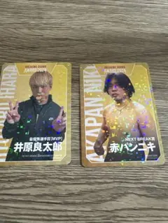 2026年最新】ブレイキングダウン カードの人気アイテム - メルカリ