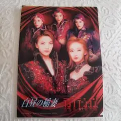 宝塚 クリアファイル 白昼の稲妻 テンプテーション