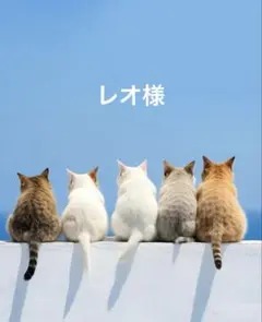 レオ様ꔛ‬ෆ専用ページ