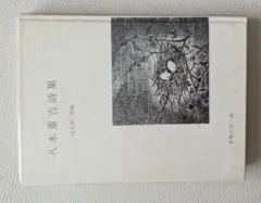 Item thumbnail for item 72b959a5-d979-4c4d-839b-a7c239a8a94c