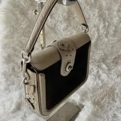 【希少】コーチ 2way ショルダーバッグ ティーローズ スタッズ ターンロック