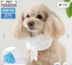 ペットパラダイス　クールバンダナ　保冷剤付き　SSのサムネイル