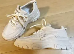 Item thumbnail for item 8b064e95-086f-47da-b16d-9d6dbea55d4d