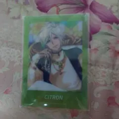 A3　ぱしゃこれVol.2　シトロン