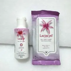 ラクタシード オールデイ ケア 60ml ボディ用洗浄料 フェミニンシート10枚