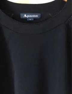 希少　高級　aquascutum 半袖コットンニット　　極美品