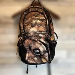 16AW シュプリーム × ノースフェイス 枯れ葉 バックパック　supreme