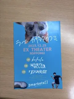 3markets[ ]フライヤー