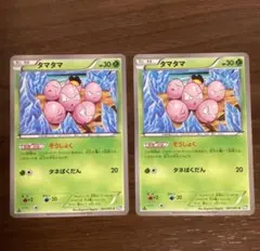 2026年最新】タマタマ ぞうしょくの人気アイテム - メルカリ