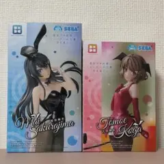 2025年最新】Desktop×Decorate 桜島麻衣の人気アイテム - メルカリ