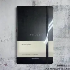 Item thumbnail for item e3829203-2072-4b21-bd9e-bae49a24ce7b