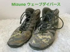 Item thumbnail for item 06c63f89-4139-48e7-875d-597f4bb4e30c