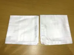 Item thumbnail for item 78386c11-7efa-48f8-90f2-c484ebcfa70a