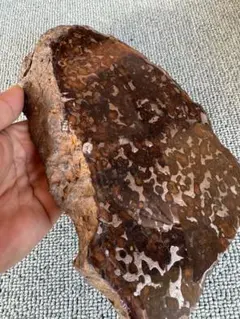 大型　2.8kg 希少 宇宙パワー パラサイト隕石 セリコ隕石 隕石原石 原皮付