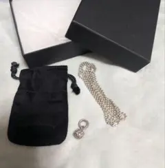 Item thumbnail for item c634d04a-8206-4733-ab71-8af5b1d68e31