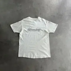 Y2K」90s Avia SpiderArc スパイダーウェブTシャツ - メルカリ