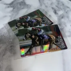 サラブレッドホースコレクション ツインウエハース 第3R チェルベニア