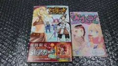 ドラゴンボール 同人誌 外伝 ヨシヒコ 特別 SD 鳥山明 ドラゴン画廊