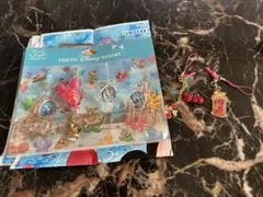 未使用‼️美品‼️東京ディズニーリゾート 30周年記念 ストラップ 3個セット袋付