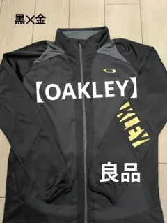 Item thumbnail for item 9d478050-7d77-4a0b-a5e8-a1fbab224920