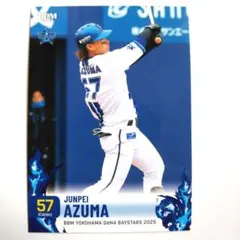東妻純平　実使用　支給　ユニフォーム　直筆サイン　横浜Denaベイスターズ 東妻純平 実使用 支給 ユニフォーム 直筆サイン 横浜Dena