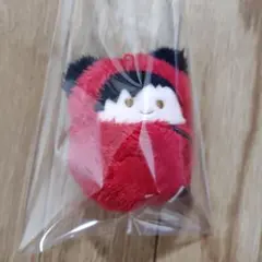 ハイキューくるみたぴぬい