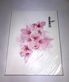 SnowMan 滝沢歌舞伎ZERO FINAL パンフレット