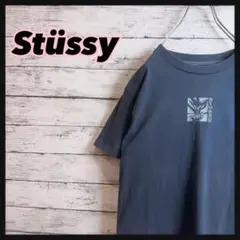 【USA製】90's Stussyオールドステューシー ドラゴンアートtシャツ