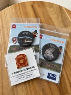 吉野・大峯展 奈良国立博物館 グッズ 鬼のピンバッジ - メルカリ