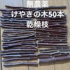 小動物用 工作用　かじり木 欅の木50本　乾燥枝のサムネイル