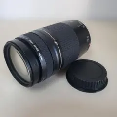 2026年最新】canon 75-300 4-5.6 IIの人気アイテム - メルカリ