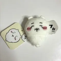 ちいかわ ちいかわだらけくじ E賞 全身ぬいぐるみバッジ フ!!