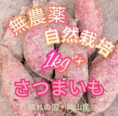 〚 さつまいも 紅はるか〛 1ｋｇ 岡山産