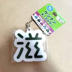 【人気！】ゲジナン キーホルダー 滋賀オリジナル ゲジゲジ ゲジなん 滋 シゲル