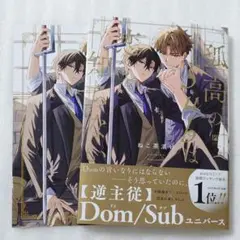 BLコミック 孤高のSubは恋を知らない ねこ茶漬け