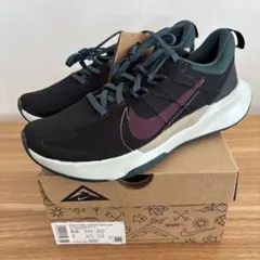 Item thumbnail for item d7f05096-b6ce-45df-b8b2-d5ee8b457966