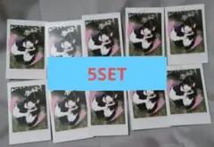 &TEAM　TAKI 　チェキ風トレカ50枚