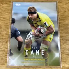 2026年最新】サンゴリアス カードの人気アイテム - メルカリ