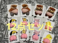 新製品　12点セット　柴犬 お腹ぷにぷにシール 3Dシール ステッカーシール帳