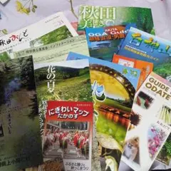 Item thumbnail for item 97e1faa6-5aad-43bf-b4be-ffff26dfb756