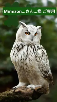 Mimizon…さん…様 ご専用 和菓子