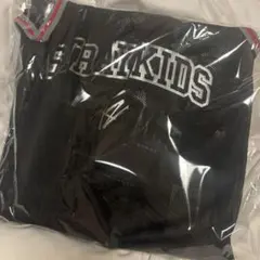 【抜けなし】StrayKids アプグレグッズ 静岡エコパ スキズ