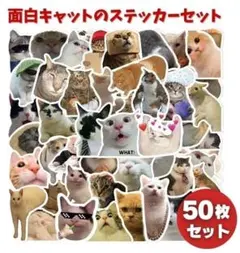 Item thumbnail for item 4b6597e9-5522-4453-8a51-bab1069bed21