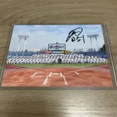 東京ヤクルトスワローズ　濱田太貴　直筆サイン入り集合写真