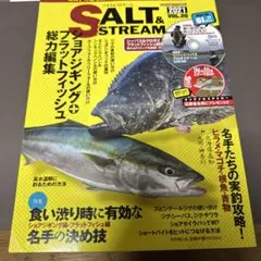 SALT & STREAM VOL.20(2010)